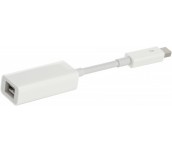 Apple Thunderbolt to FireWire Adapter