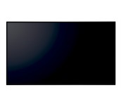 Дисплей SHARP PNY Series 43