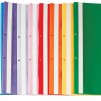 ПАПКА PVC С ПЕРФОРАЦИЯ CASSA STANDART ОРАНЖЕВ