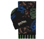 Комплект шал и шапка DIFUZED Harry Potter, Черен