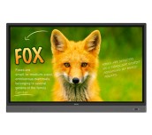 BenQ LFD RP653K, 65