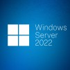 Windows Server CAL 2022 English 1pk DSP OEI 1 Clt User CAL