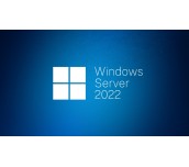 Windows Server CAL 2022 English 1pk DSP OEI 1 Clt User CAL