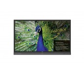 BenQ LFD RP750K, 75