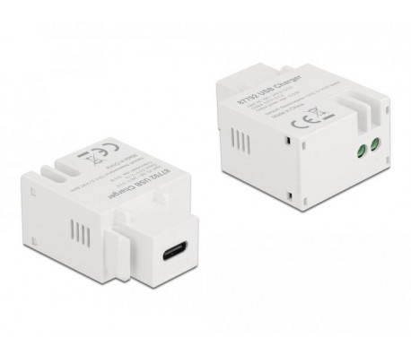 Модул Delock, USB-C порт за зареждане, За монтаж на панел Keystone