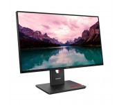 Lenovo ThinkVision T24-40 23.8
