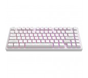 Геймърскa механична клавиатура Dark Project ALU81A Terra Nostra White RGB