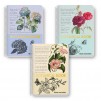 ТЕТРАДКА СПИРАЛА B&W BOTANICAL A5 80Л 2 ТЕМИ