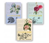 ТЕТРАДКА СПИРАЛА B&W BOTANICAL A5 80Л 2 ТЕМИ