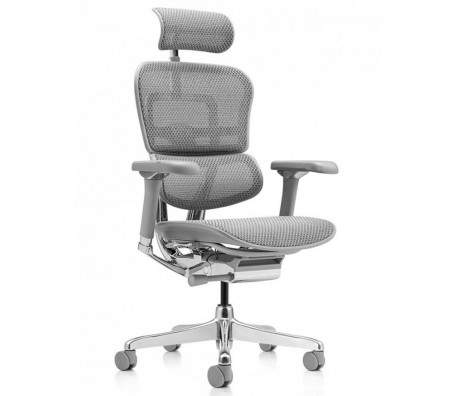 ЕРГОНОМИЧЕН СТОЛ ERGOHUMAN ELITE 2 4 ЦВЯТА