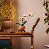 LEGO  Botanicals - Mini-Orchidee, 10343