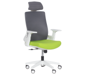 ДИРЕКТОРСКИ СТОЛ CARMEN 7546 МЕШ ЗЕЛЕН