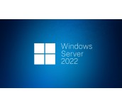 Windows Server CAL 2022 English 1pk DSP OEI 1 Clt Device CAL