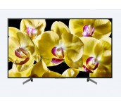 Sony KD-49XG8096 49