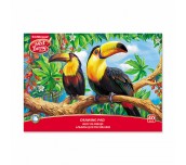 БЛОК ЗА РИСУВАНЕ ART BERRY EXOTIC BIRDS А4 40ЛИСТА