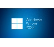 Dell Microsoft Windows Server 2022 1CAL User