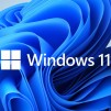 Microsoft Windows 11 Pro GGK 64Bit Eng Intl 1pk DSP ORT OEI DVD