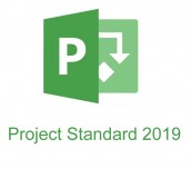 Microsoft Project Standard 2019 Win English Medialess