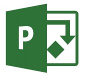 Microsoft Project Pro 2019 Win English Medialess