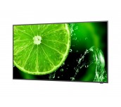 Широкоформатен дисплей NEC MultiSync E498, 49