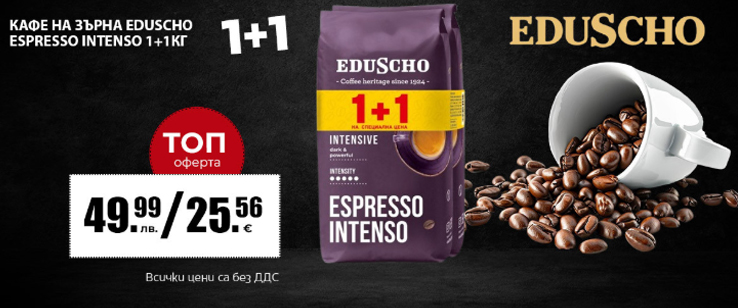 офекс банер